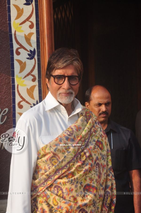 Amitabh Bachchan poses for the media at the Promotions of Shamitabh (354840)