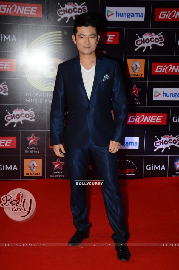 Meiyang Chang poses for the media at GIMA Awards 2015