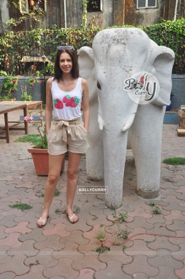 Kalki Koechlin at the Promotions Of Margarita With a Straw (362613)