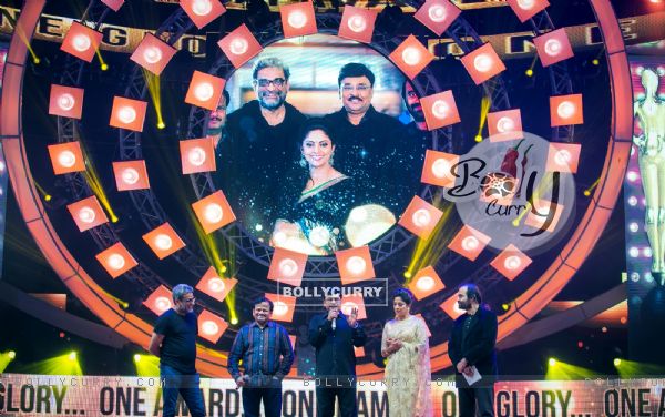 Celebs at Vijay Awards 2015