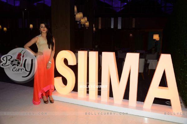 SIIMA Press Meet