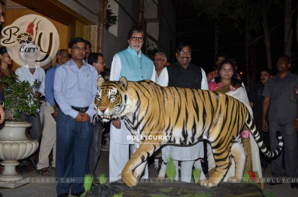 Amitabh Bachchan at Save The Tiger Campaign