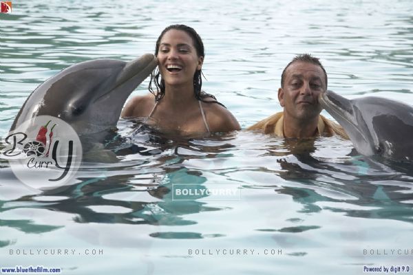 Dolphin Kissing Sanjay and Lara (37814)