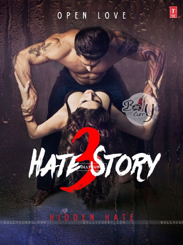 Hate Story 3 (381948)