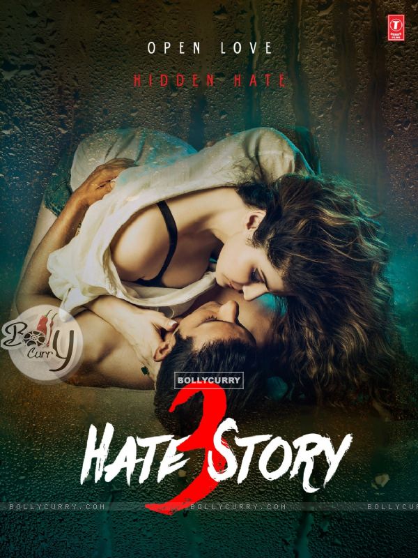 Hate Story 3 (381949)