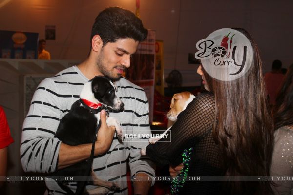 Sooraj Pancholi at 'Adoptathon' Campaign for Pet Adoption