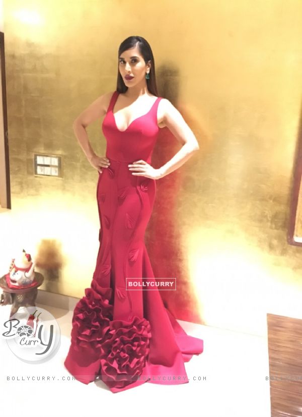 Sophie Choudry's Look at Filmfare Glamour and Style Awards