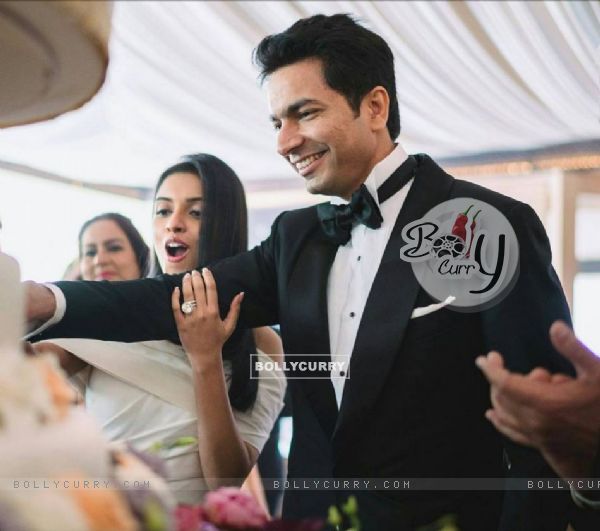 Asin Thottumkal and Rahul Sharma's Wedding pics