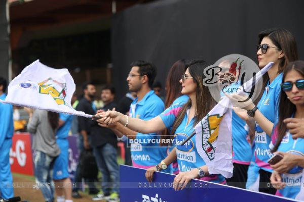 Zarine Khan and Kriti Sanon Snapped Supporting 'Mumbai Heroes' at CCL Match in Banglore