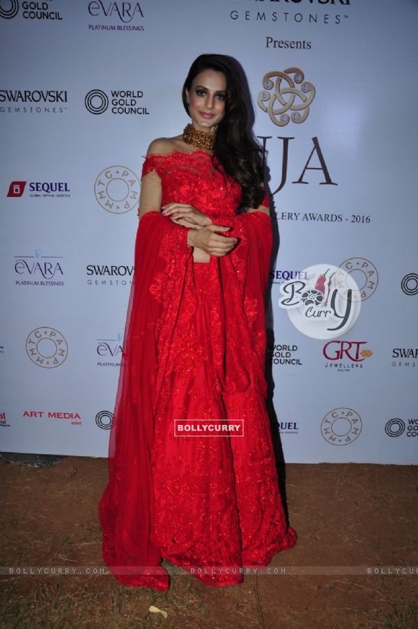 Ameesha Patel at National Jewellery Awards 2016