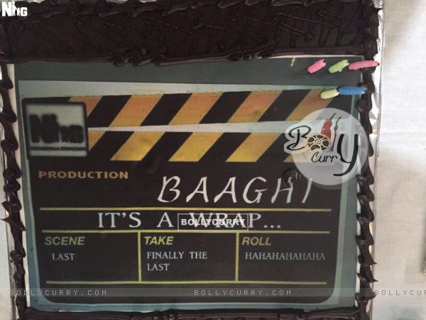 Baaghi Wraps Up Shooting (397170)