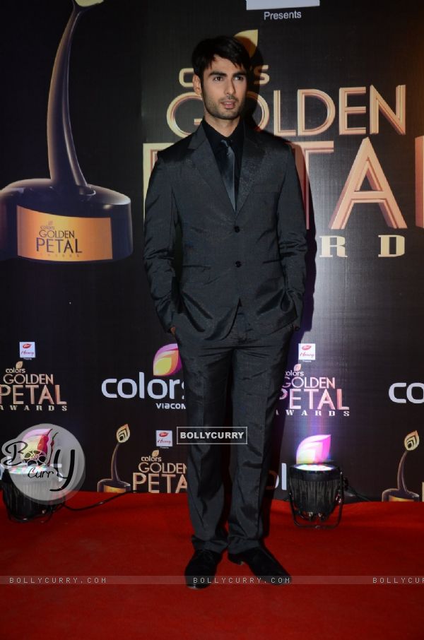 Varun Kapoor at Golden Petal Awards 2016