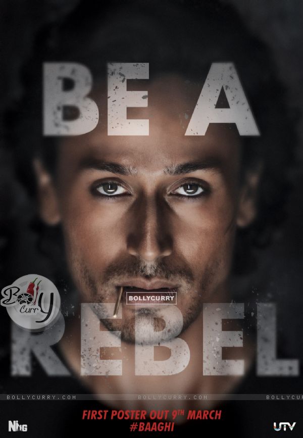 Poster of the film Baaghi (399724)