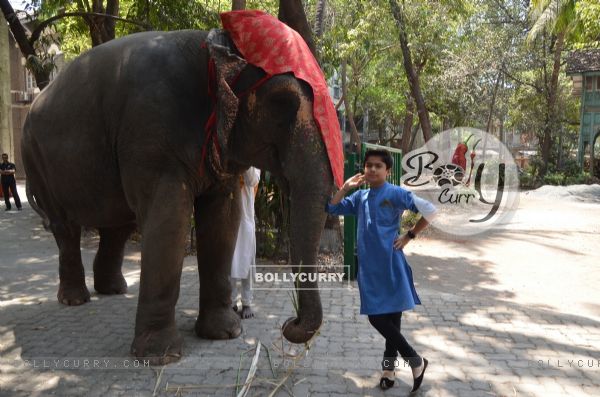 Neel Sethi snapped with an elephant at his International Tour for his upcoming movie The Jungle Book