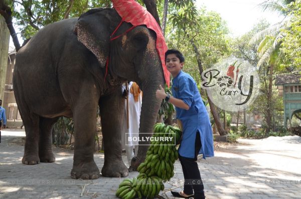 Neel Sethi poses with an elephant at his International Tour for The Jungle Book (401355)