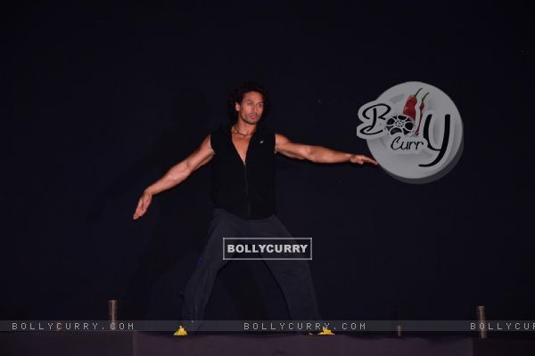 Tiger Shroff's Rendezvous With Martial arts! (403409)