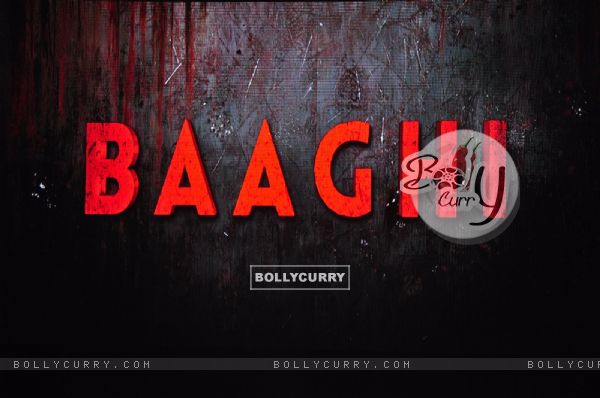 Baaghi Launches it's New Villian (403622)