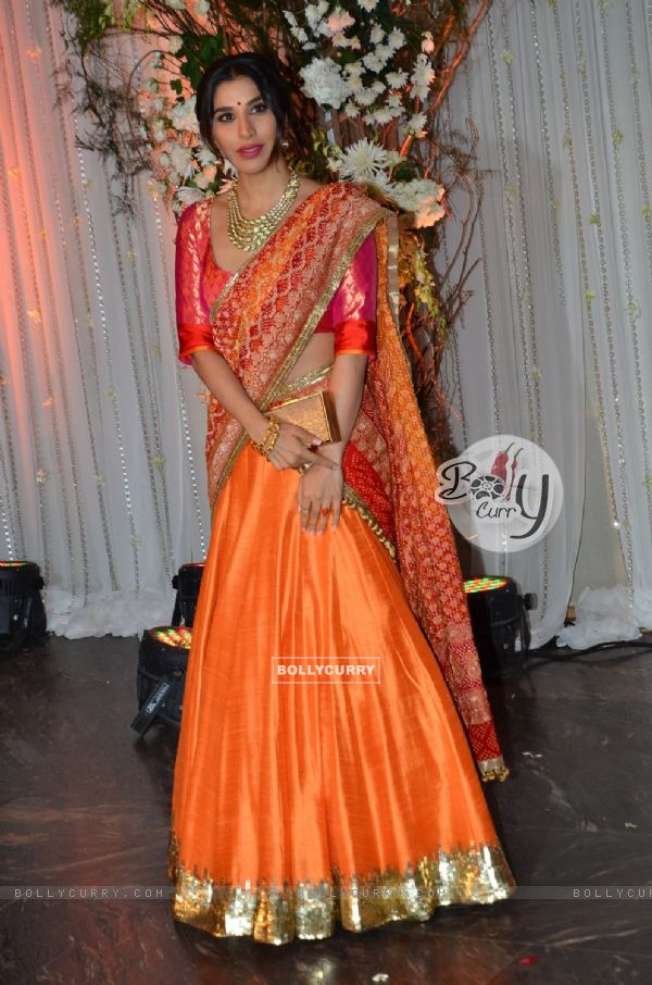 Sophie Choudry at Karan - Bipasha's Star Studded Wedding Reception