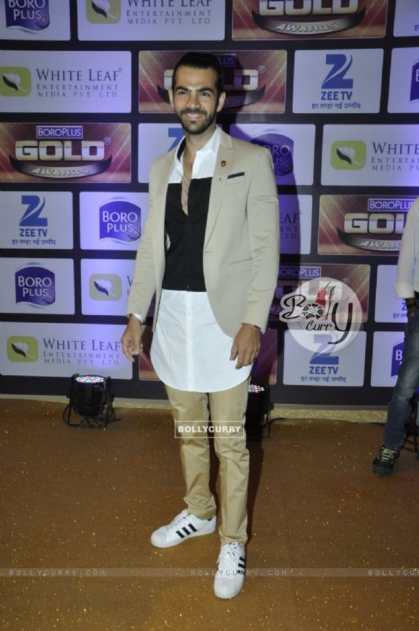 Karan V Grover at Zee Gold Awards 2016