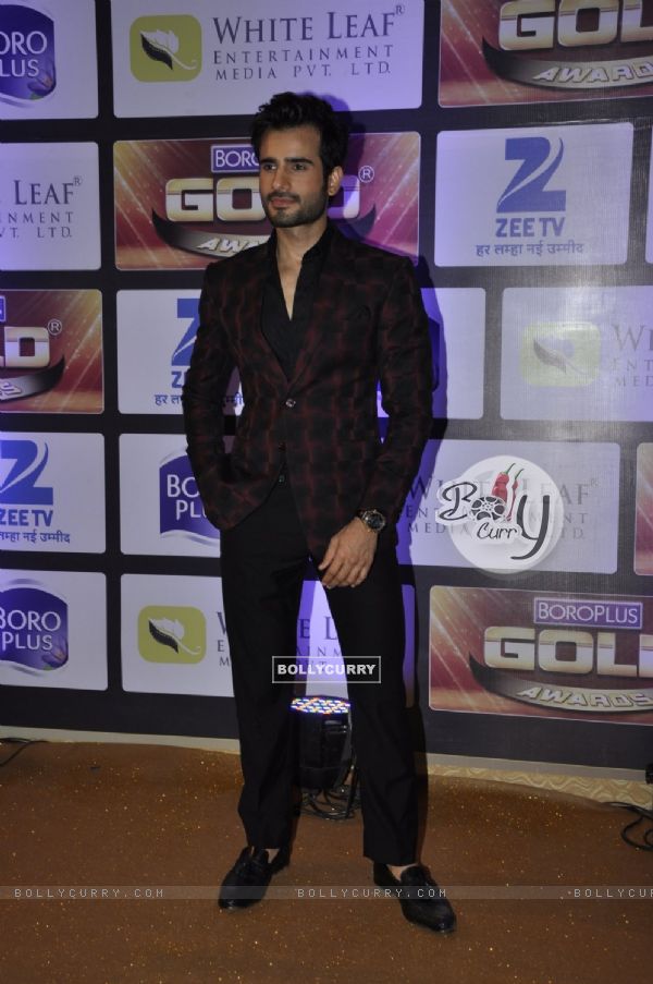 Karan Tacker at Zee Gold Awards 2016