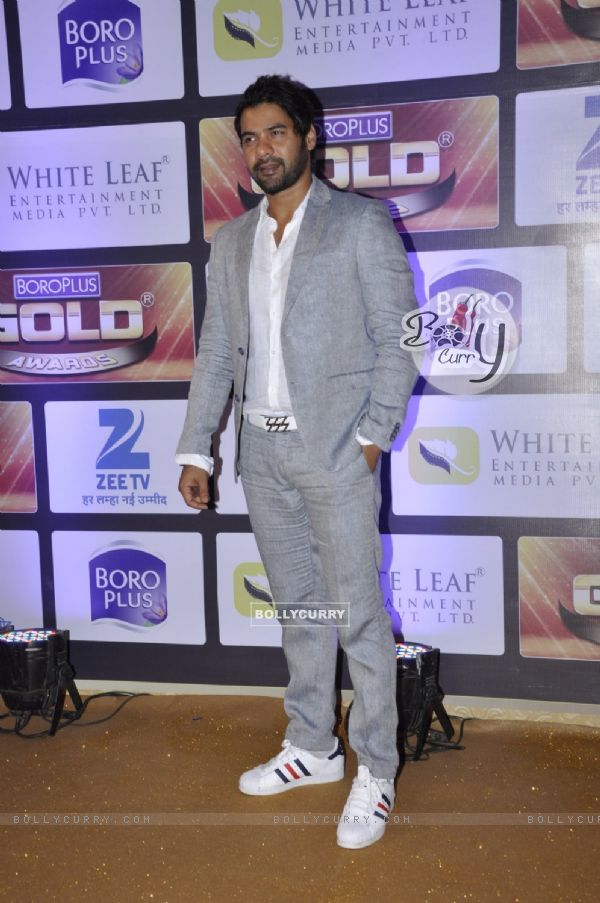Shabbir Ahluwalia at Zee Gold Awards 2016