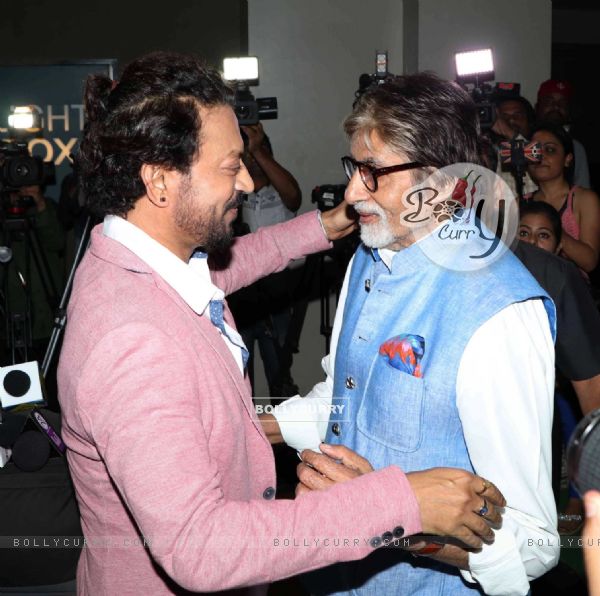 Megastar Amitabh Bachchan greets Irrfan Khan at the special screening of 'Madaari' (413362)