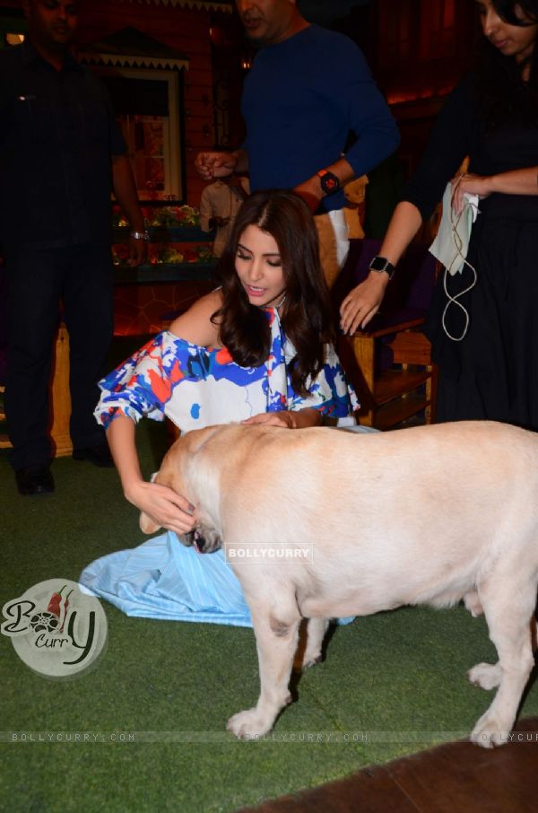 Anushka Sharma snapped while playing with a dog on 'The Kapil Sharma Show'