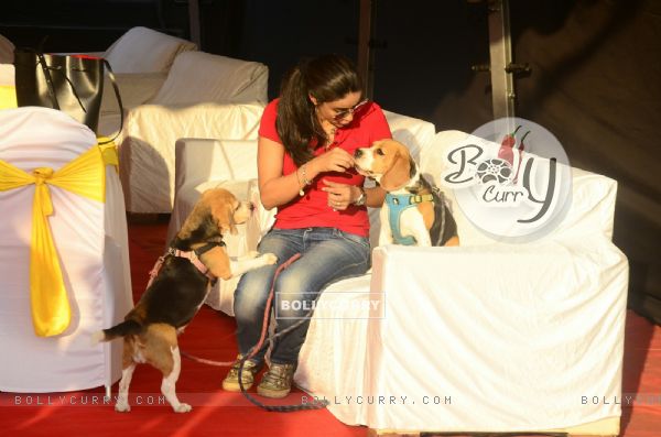 Gul Panag with her dogs