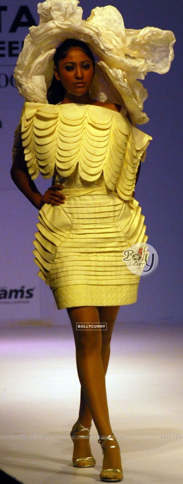 Model display design of Aarti Vijay Gupta at Kolkata Fashion Week on Sunday 13th Sep 09
