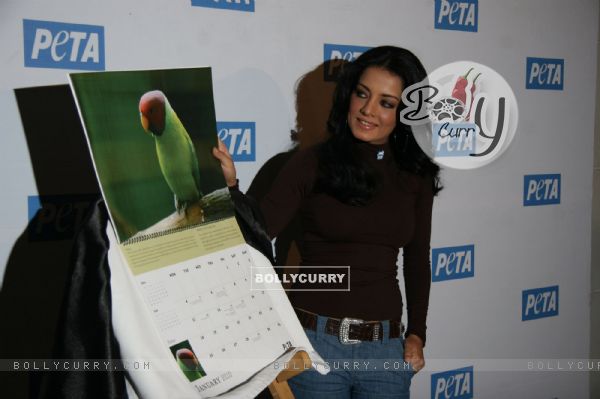 Bollywood actress Celina Jaitley unveils the annual PETA Calendar at Bandra, Mumbai