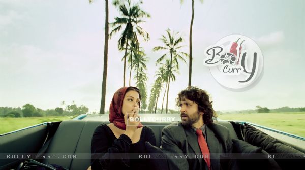 Aishwarya and Hrithik as a lead actor and actress (98999)