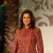 Zeenat Aman Walks for fashion designer Riyaz Ganji at Aamby Valley Indian Bridal Week day 4
