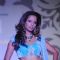 Kashmira Shah Walks the ramp at Aamby Valley Indian Bridal Week day 5