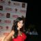 Katrina Kaif at 17th Annual Star Screen Awards 2011