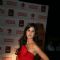 Katrina Kaif at 17th Annual Star Screen Awards 2011