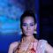 Model walks the ramp for Sangam Chains at IIJW 2011