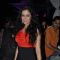 Guest at Maxim Magazine's new cover launch at Vie Lounge in Juhu, Mumbai