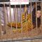 PETA - Negar Khan in protest of Zoos at Mehboob