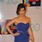 Sophie Chaudhary at Zee Cine Awards 2013