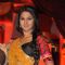 Jennifer Winget in Saraswatichandra on Star Plus