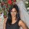 Model Sucheta Sharma-Harrison James' wedding bash