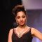 Moni Agarwal show at IIJW 2013