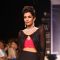 Moni Agarwal show at IIJW 2013