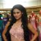 Mouni Roy at Rohit Verma Launched his New Festive