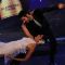 Sandip Soparkar and Jessy Randhawa perform at the Blenders Pride Fashion Tour