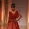 Chitrangada walks the ramp at Aamby Valley India Bridal Fashion Week 2013 - Day 3