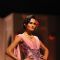 Aamby Valley India Bridal Fashion Week 2013 - Day 3