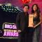Big Star Entertainment Awards 2013