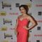Sophie Chowdhary was seen at the 59th Idea Filmfare Awards 2013