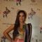 Shazahn Padamsee was seen at the Launch of Retail Jeweller India Trendsetters 2014